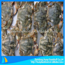 frozen mud crab good supplier and exporter